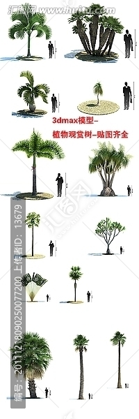 3dmax模型,植物观赏树,贴图齐全