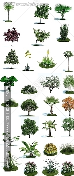 植物,模型,樹木,花,草