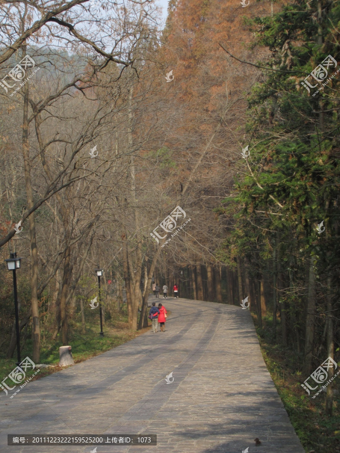 曲径通幽,峰回路转