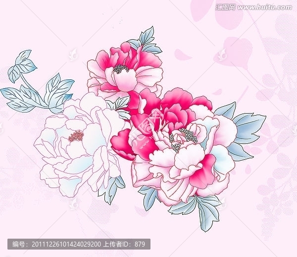 牡丹