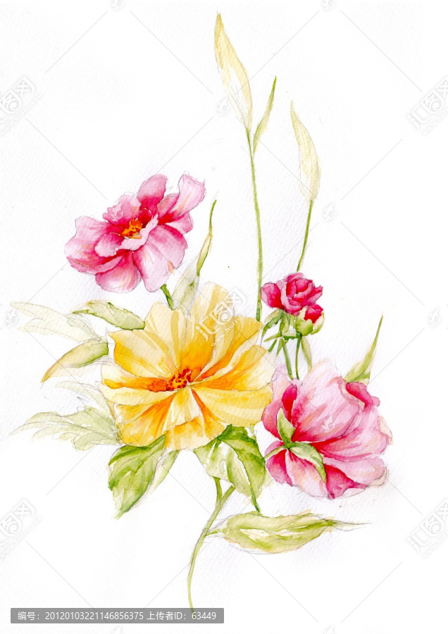 水彩花卉（未分層）