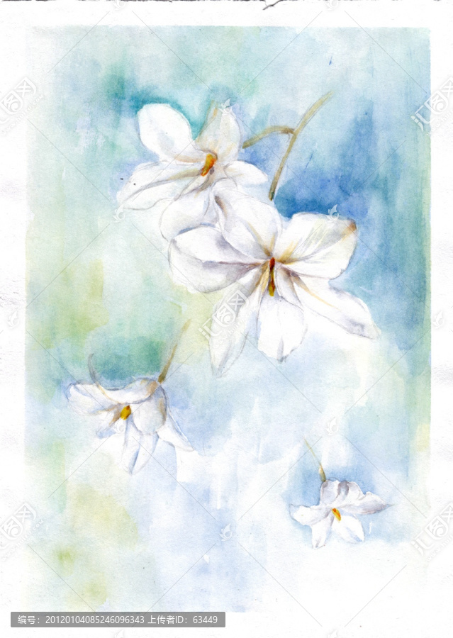 水彩花卉（未分層）