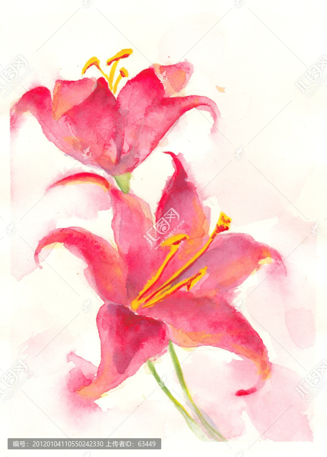 水彩花卉（未分層）
