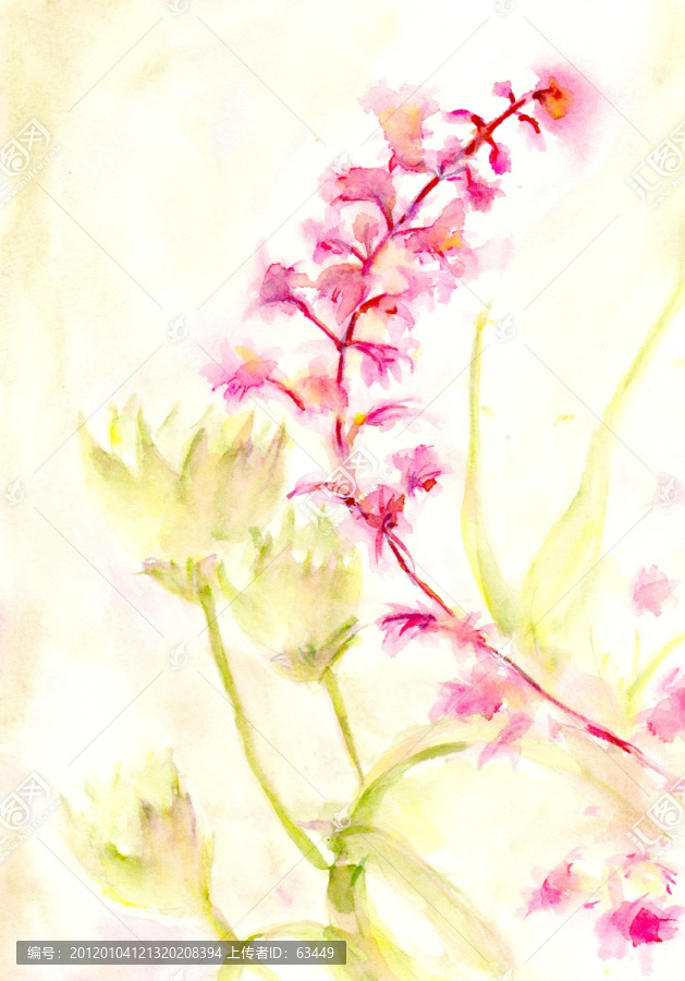 水彩花卉（未分層）