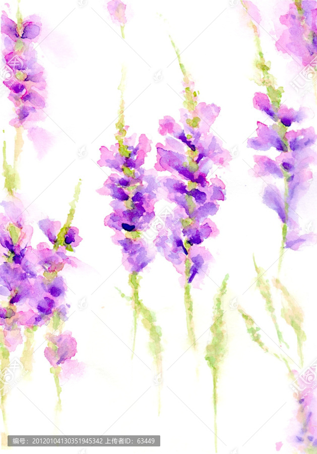 水彩花卉（未分層）