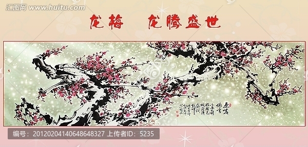 龙梅,梅花,红梅