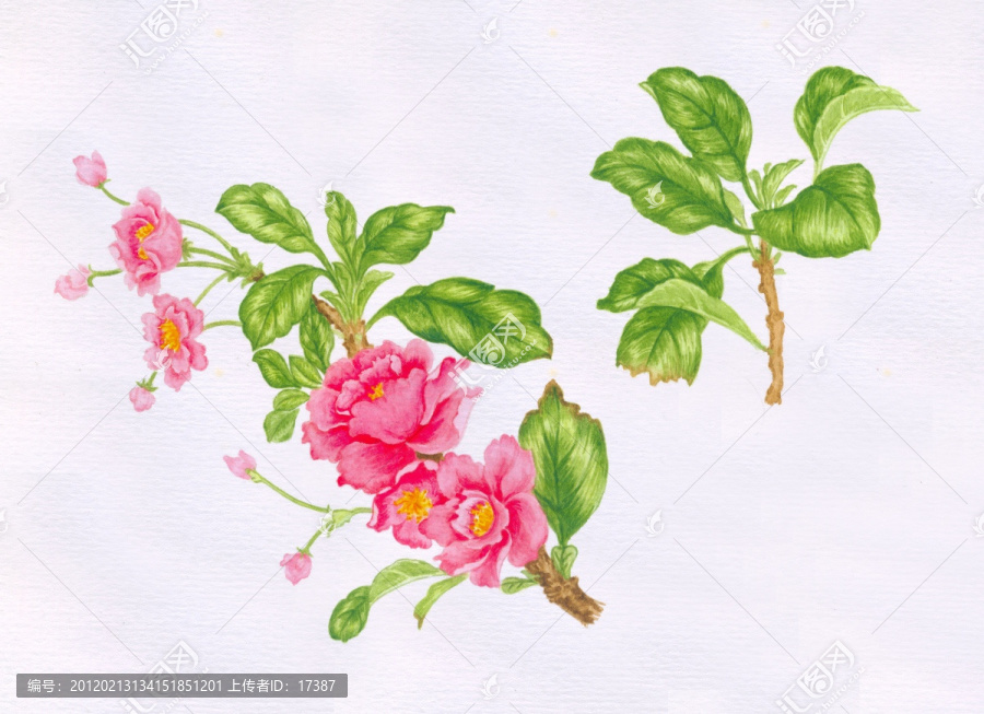 桃花（未分層）