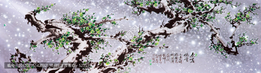 龍梅,綠梅,梅花