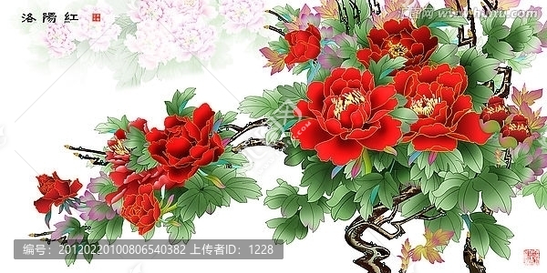 洛陽紅