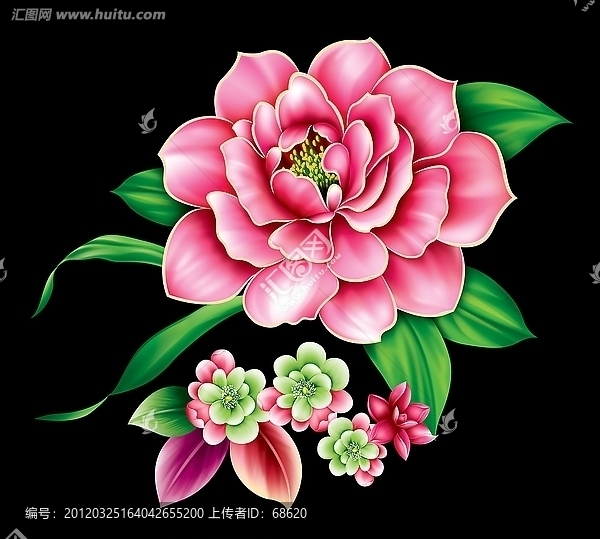 牡丹花