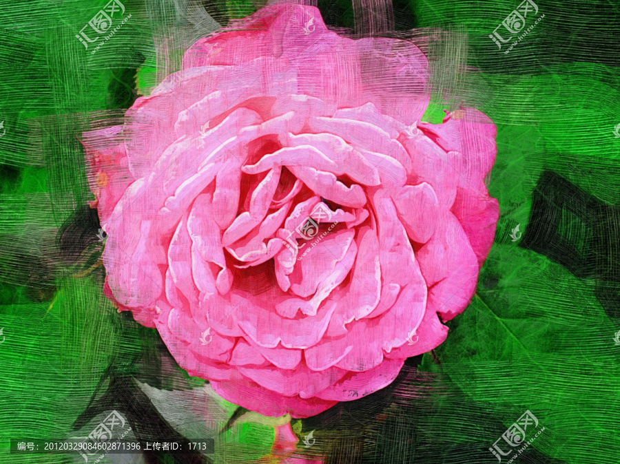 花卉（未分層）