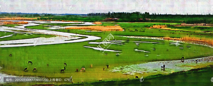 濕地（未分層）