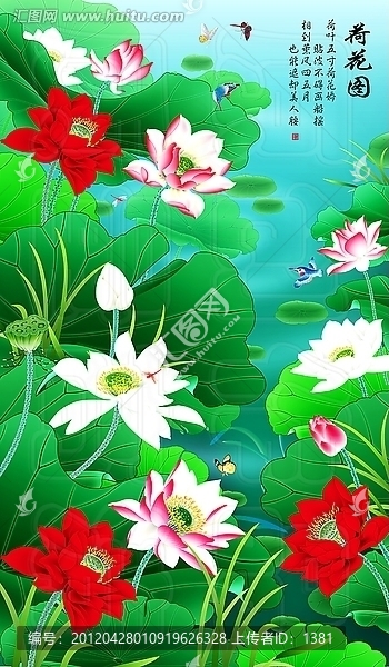 荷花l圖片,荷花,睡蓮
