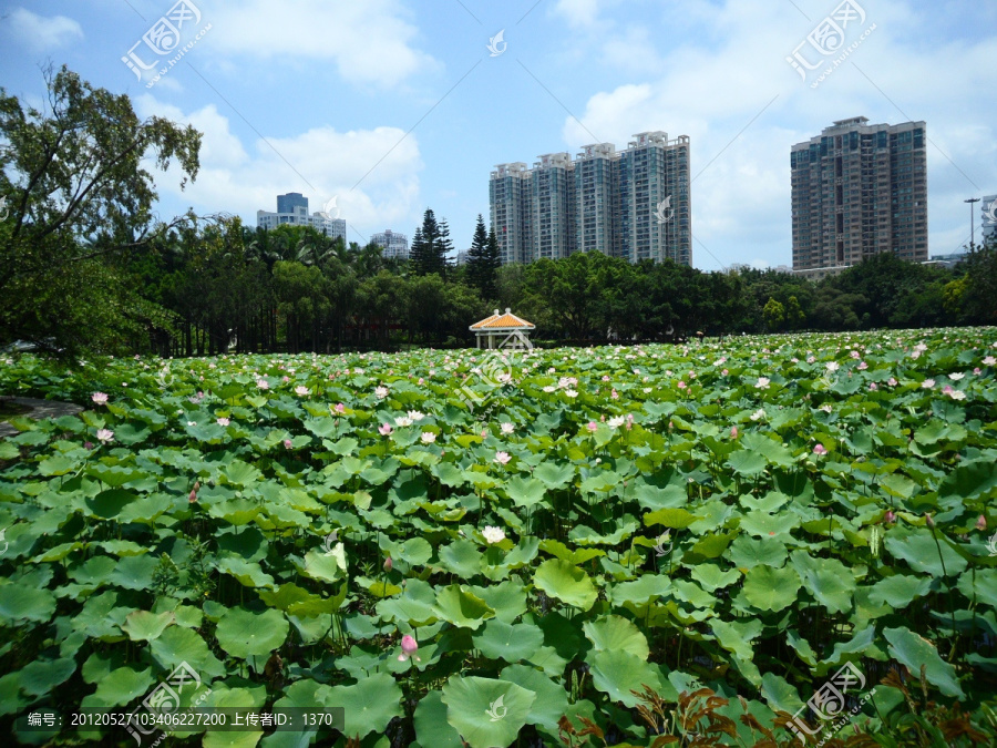 深圳建筑群