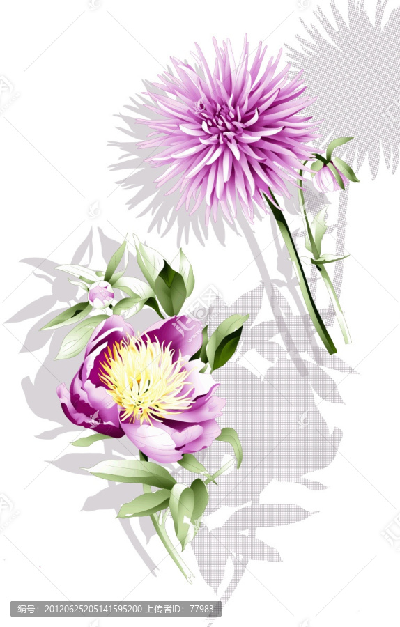 漂亮花卉素材