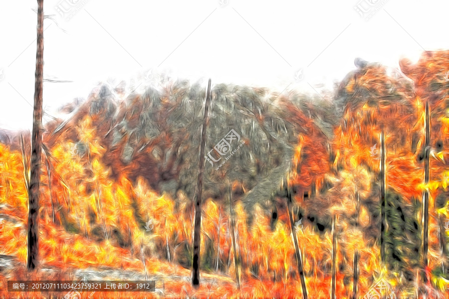 山林