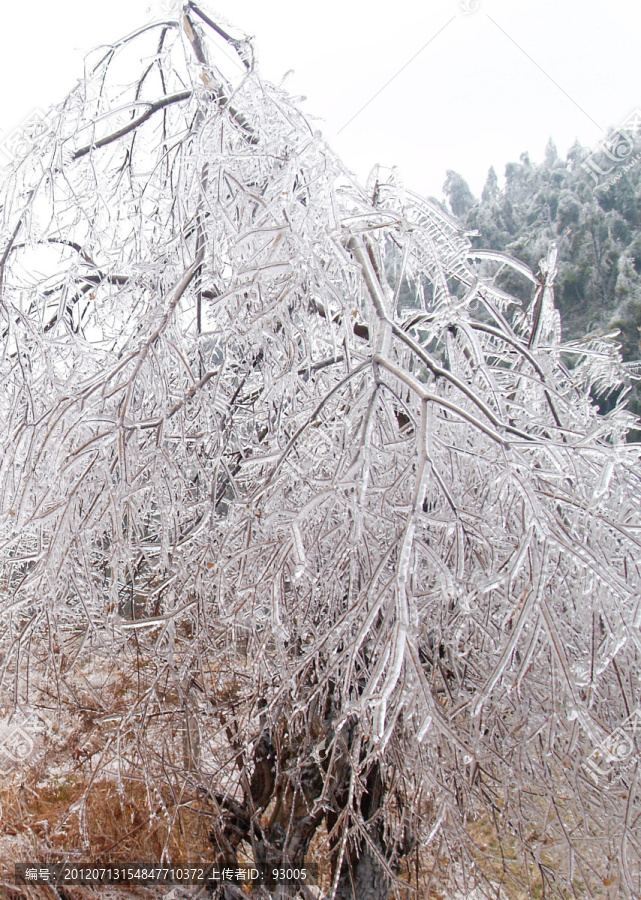 雪地,雪块