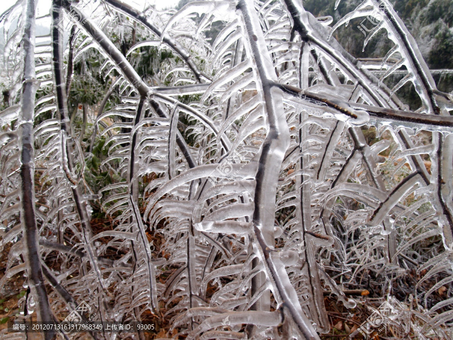 雪花