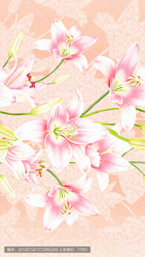 美麗百合花