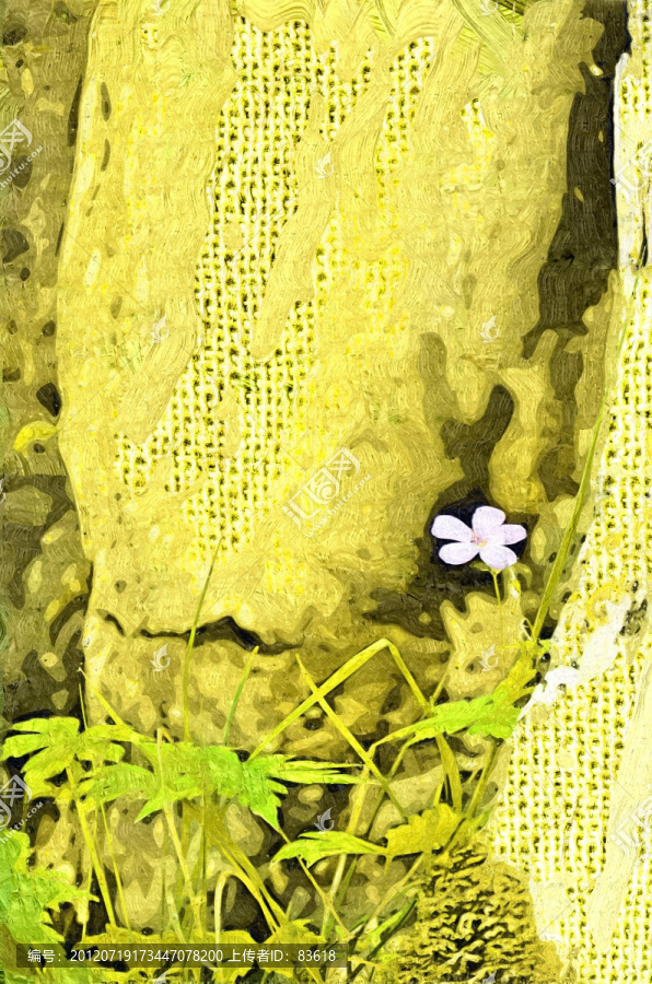 堅韌的小花