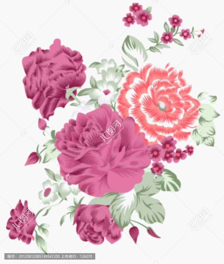 花卉圖案素材圖片