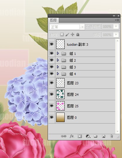手繪,牡丹,玫瑰,繡球花,繡球花
