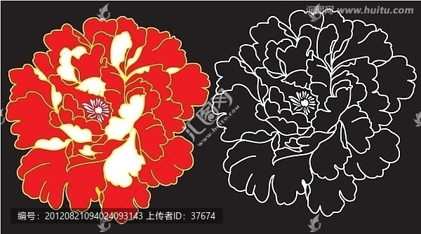牡丹花