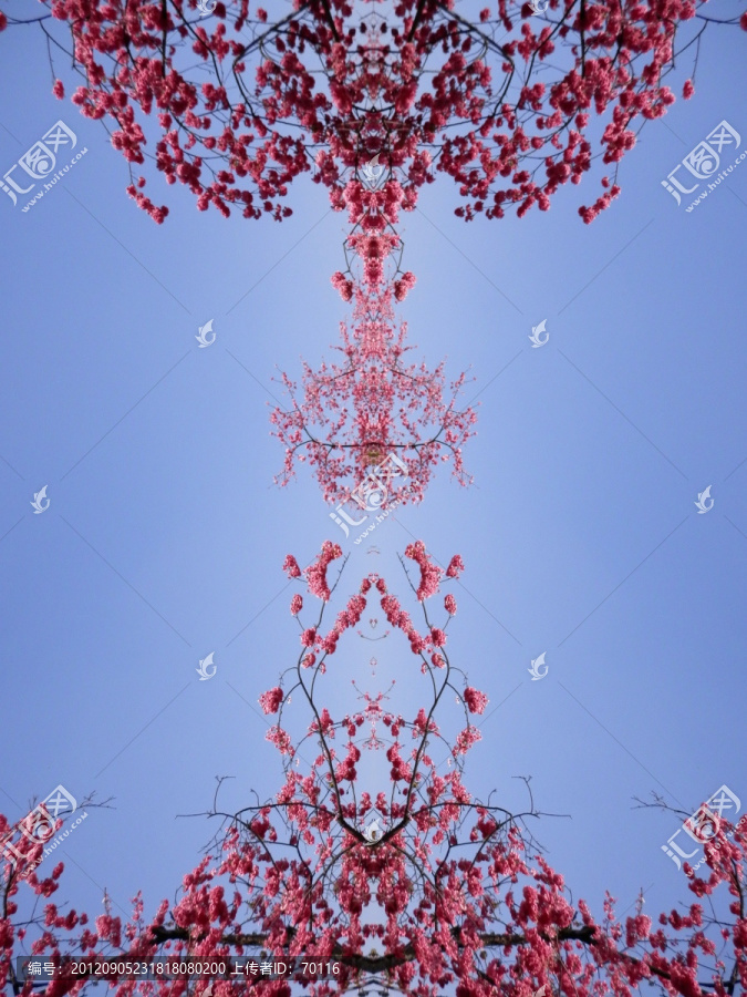 櫻花圖案（寶瓶）
