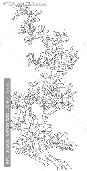 藝術(shù)玻璃雕刻圖矢量圖線條圖,玉蘭花,冰清玉潔