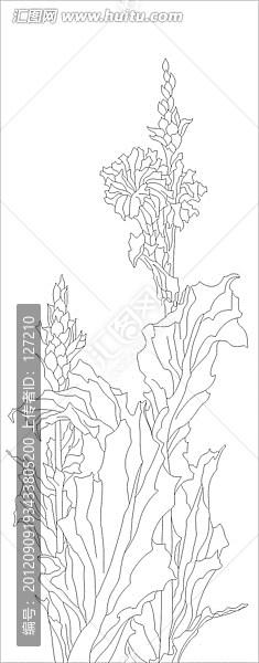 藝術(shù)玻璃雕刻圖矢量圖線條圖,金美人蕉