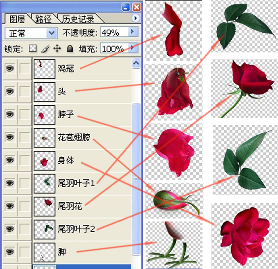 玫瑰花公雞