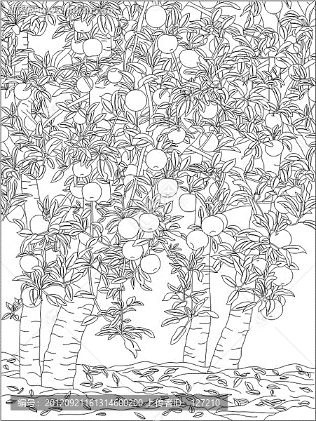 藝術(shù)玻璃雕刻圖矢量圖線條圖,四季平安,金蘋(píng)果