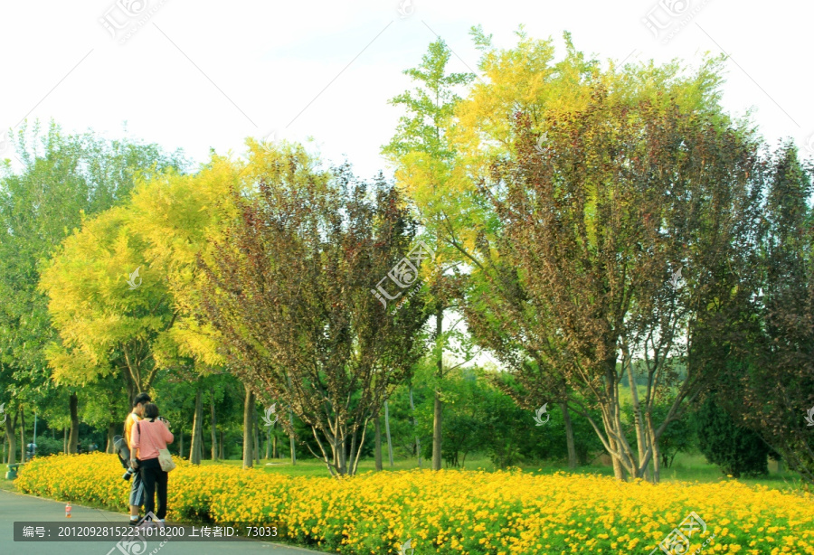 森林公园,,,,情侣摄影,,,沿途风景