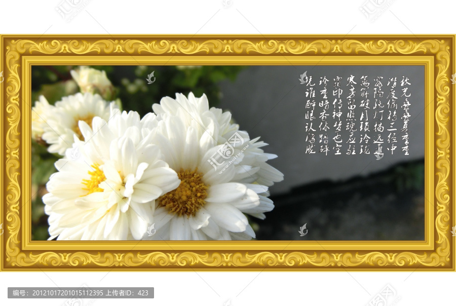 菊影