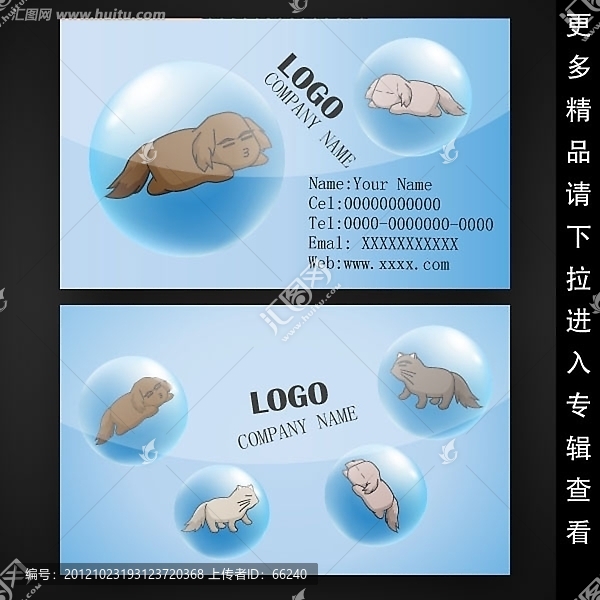 卡通貓狗名片