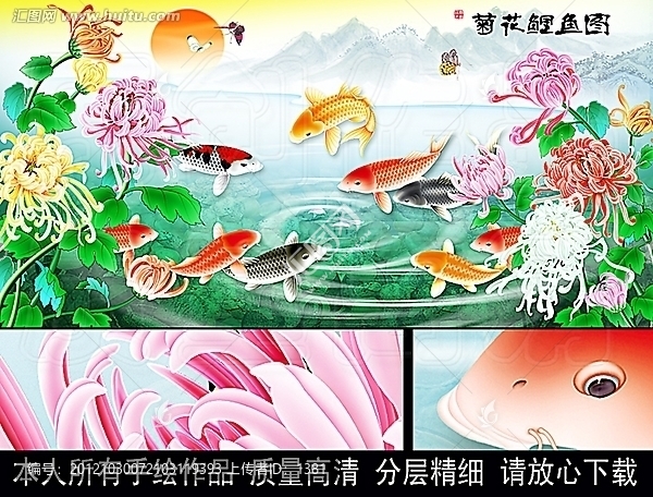 菊花,鯉魚,菊花鯉魚圖