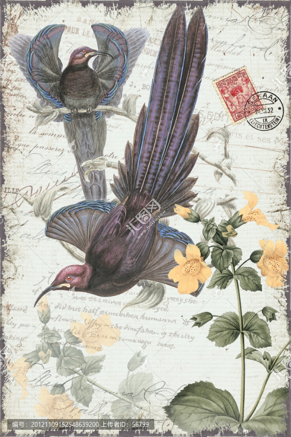 無框畫,鳥,花卉,歐美風格,著名建筑