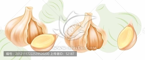 蒜頭