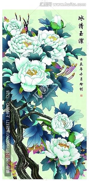 牡丹,冰清玉潔