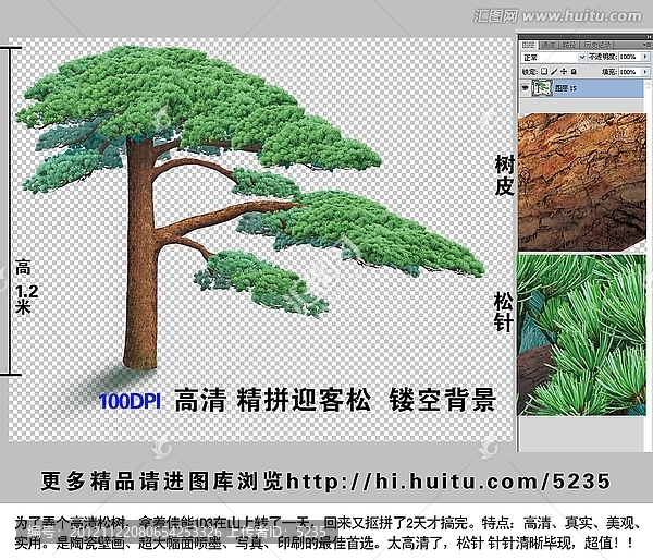 迎客松,高清精拼,壁畫印刷噴墨,大幅面