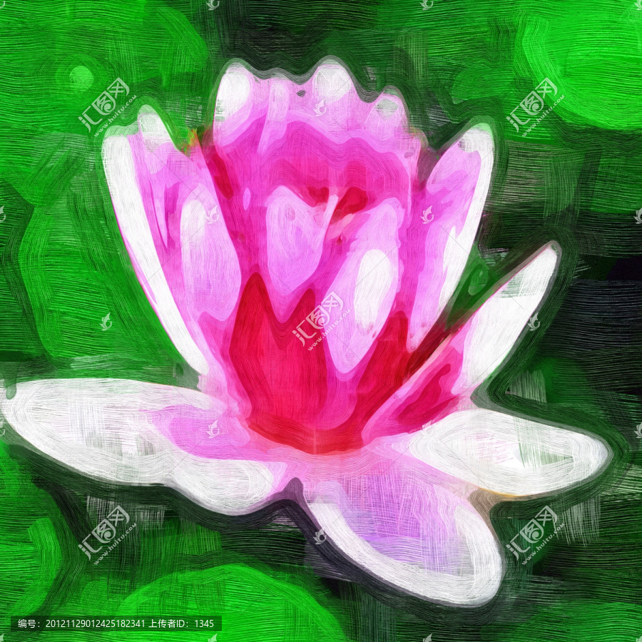 蓮花無框畫