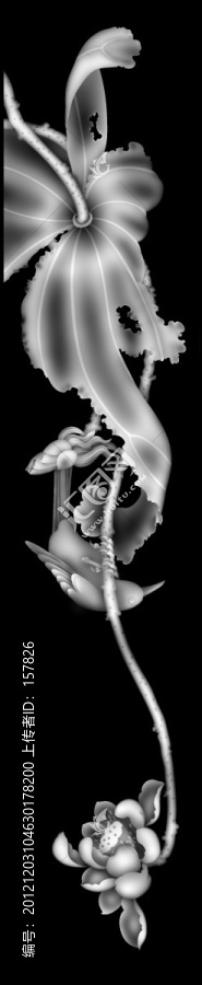 花鳥