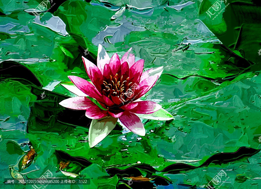 裝飾畫,睡蓮,荷花