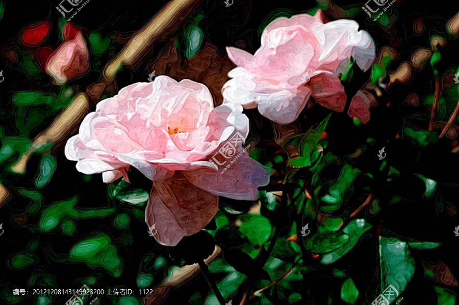 裝飾畫,月季花