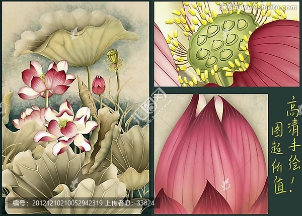 紅色荷花