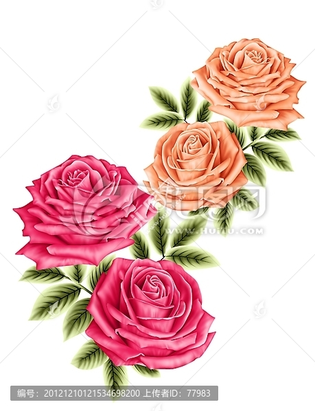 玫瑰花之約