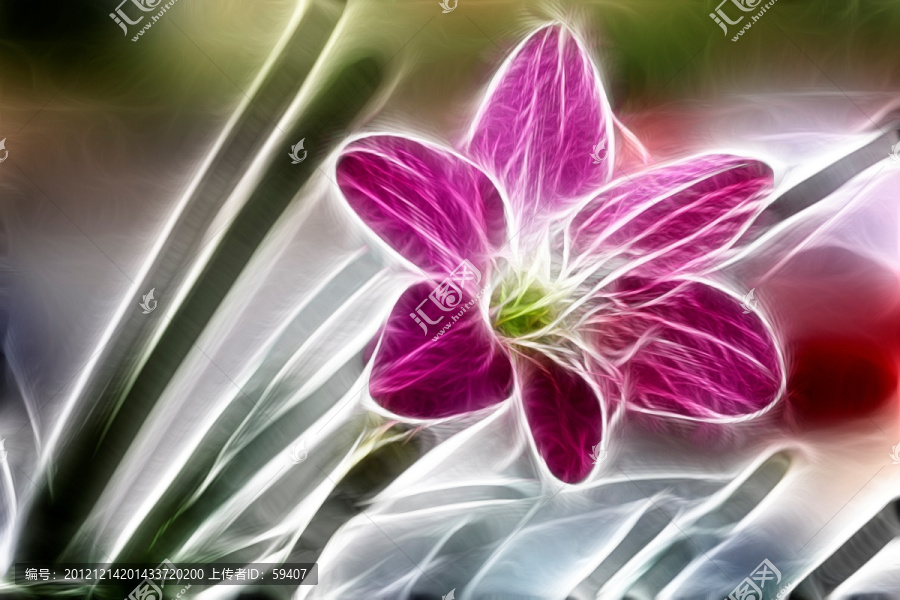 無框畫,蘭花