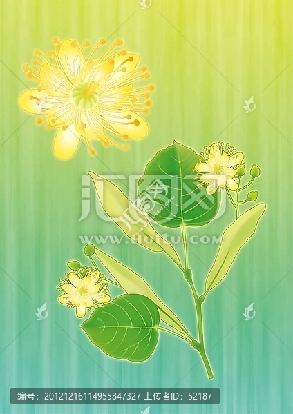 萊姆花