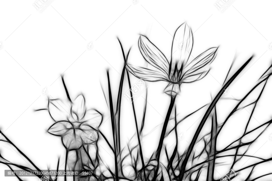 抽象畫,無框畫,蘭花