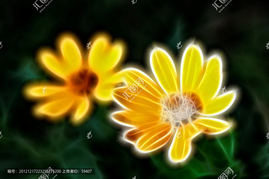 抽象畫,無框畫,菊花